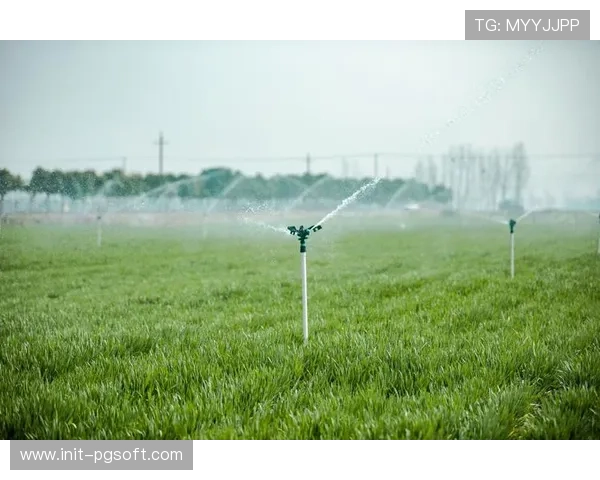 智能灌溉联动场地维护 水资源消耗量下降百分之五十